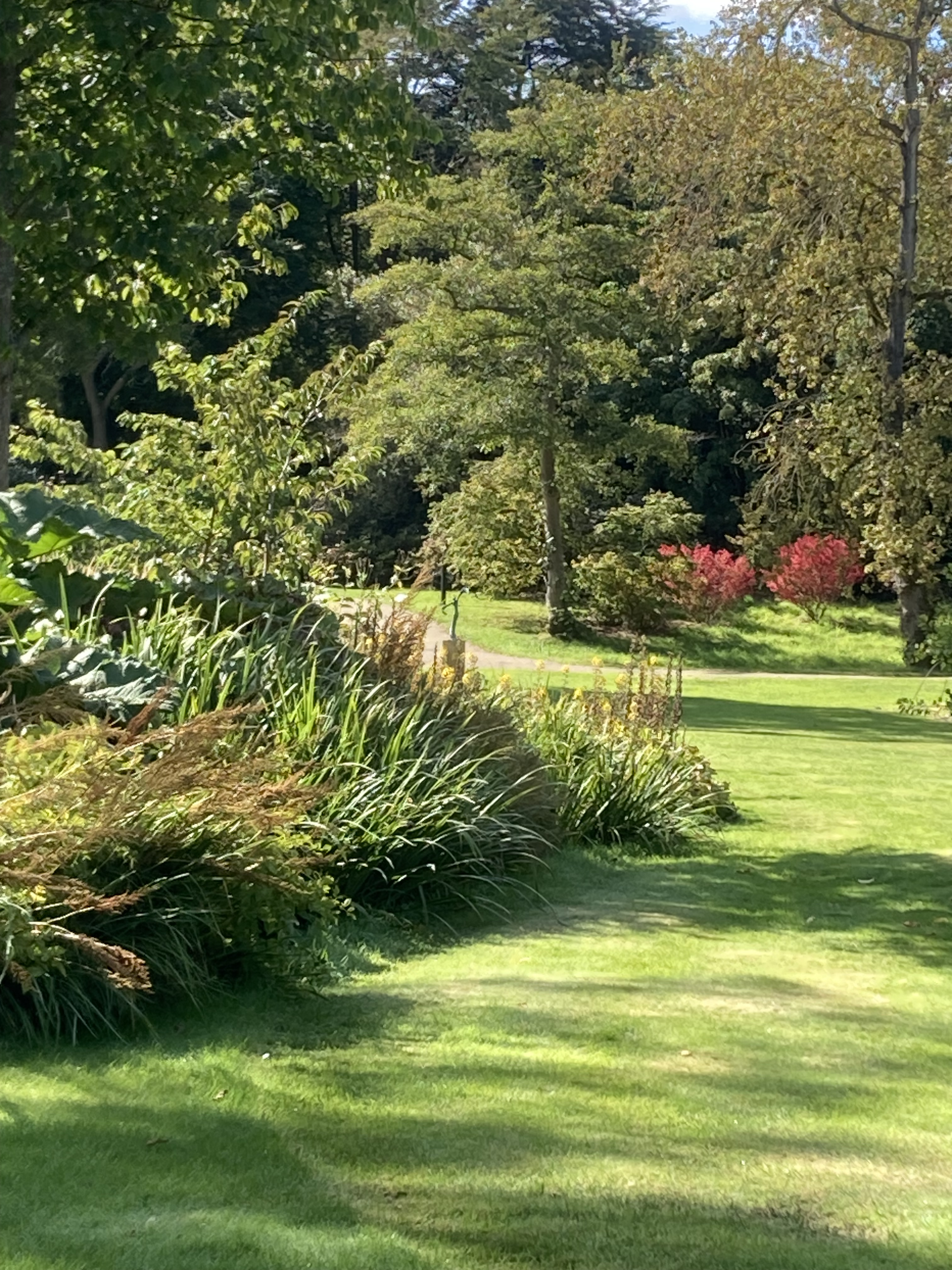 2024 Savill Garden 1